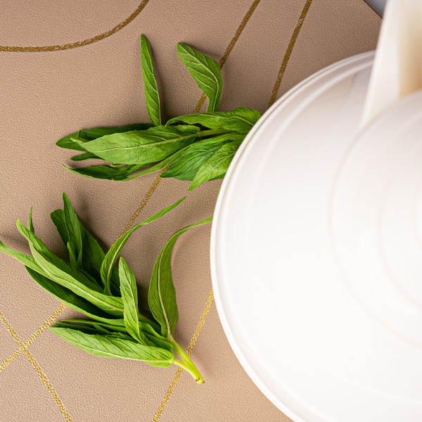 Organic HABAK Hasawi herb in a 0.15 kg pack by Naqwat Al Nana, showing fresh green dried herbs in a clear package.