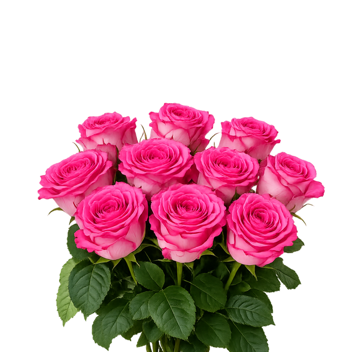 Roses, Simply Pink fresh-cut flower bunch, from Sharbatly.