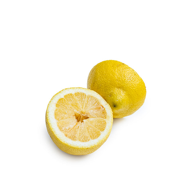 Fresh yellow lemon with bergamot aroma, single fruit from Holland, showcasing vibrant citrus peel and juicy interior.