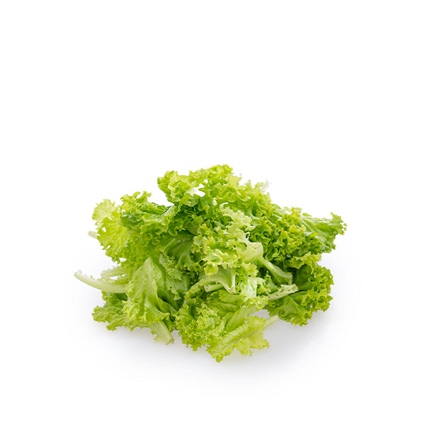 Fresh Lollo Bionda lettuce from Mishkat in a 0.15 kg vegetable pack, showing crisp, leafy green lettuce on a white background.