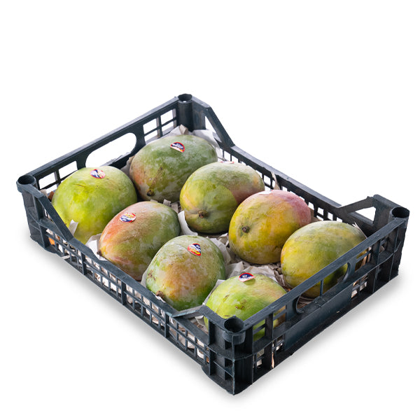 Fresh Keitt mangoes in a 3.5 kg carton from Local Market, showcasing ripe, vibrant yellow fruit ready to eat.