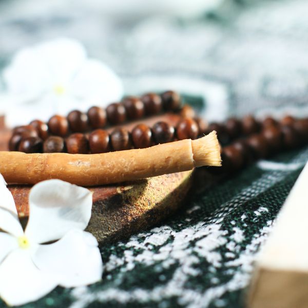 Fresh Miswak herbal sticks from Local Market, set of 10 natural teeth cleaning sticks in a bunch with green leaves.