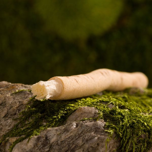 Herb Miswak sticks from Local Market, 10-pack, natural herbal teeth cleaning sticks arranged in a bunch.