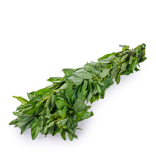 Fresh large bunch of Molokhia vegetable from Local Market, showing vibrant green leaves and sturdy stems.