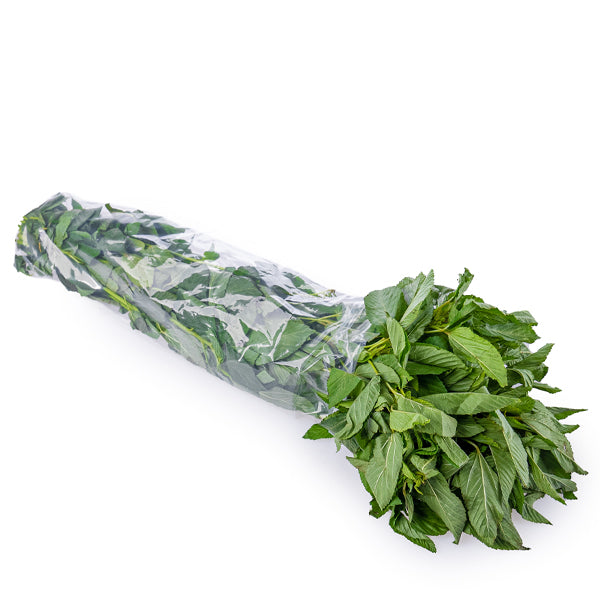 Fresh large bunch of Molokhia vegetable from Local Market, with vibrant green leaves and sturdy stems.