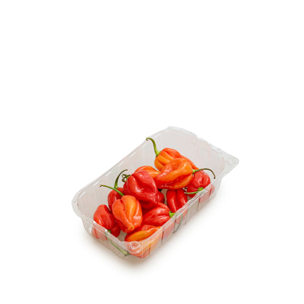Red habanero pepper herb pack from Holland, showing fresh, vibrant red peppers in a 0.15 kg package.