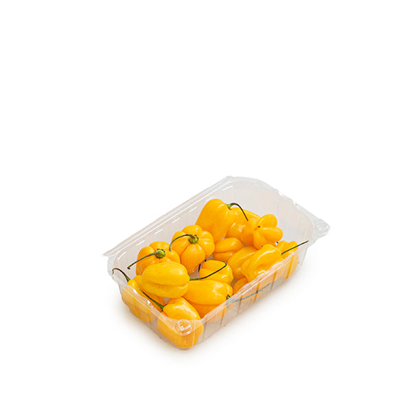 Yellow habanero pepper herb from Holland in a 0.15 kg pack, showcasing vibrant yellow peppers ready for culinary use.