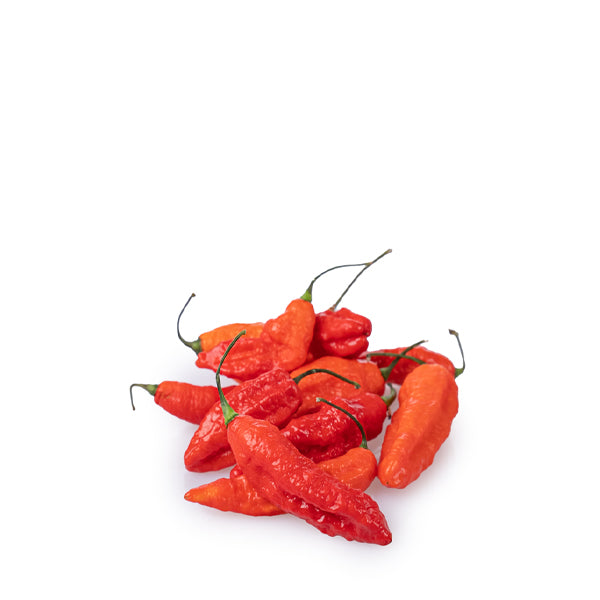 Holland Naga Jolokia hot chili pepper herb in 0.15kg pack, vibrant red, with glossy, elongated chili peppers on green stems.
