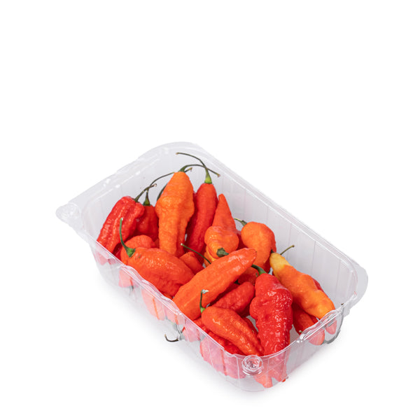 Holland Naga Jolokia pepper chili herb in a 0.15 kg pack, showing vibrant, fiery red peppers with green stems.