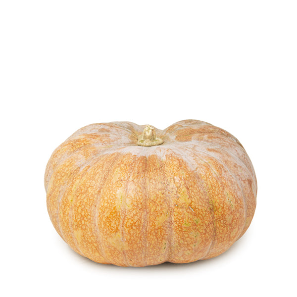 Fresh Pumpkin Musquee de Provence squash from Local Market, showing its ribbed orange exterior and smooth stem.