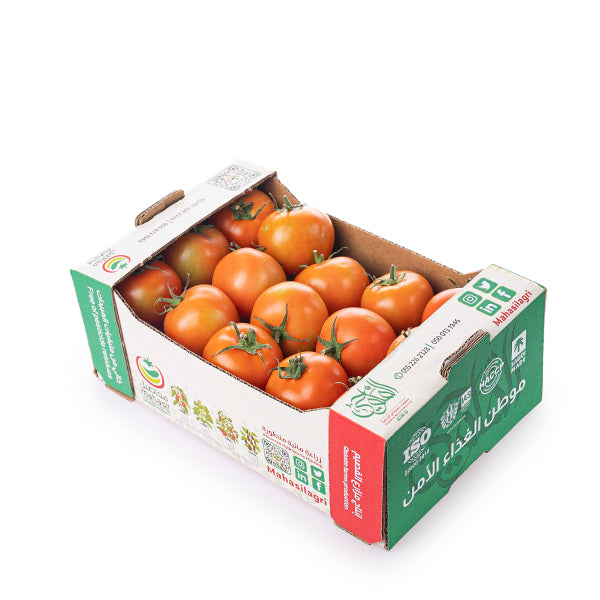 Hydroponic Mahasil Tomato Round in a 3 kg carton, fresh and ripe vegetables for salads and cooking.