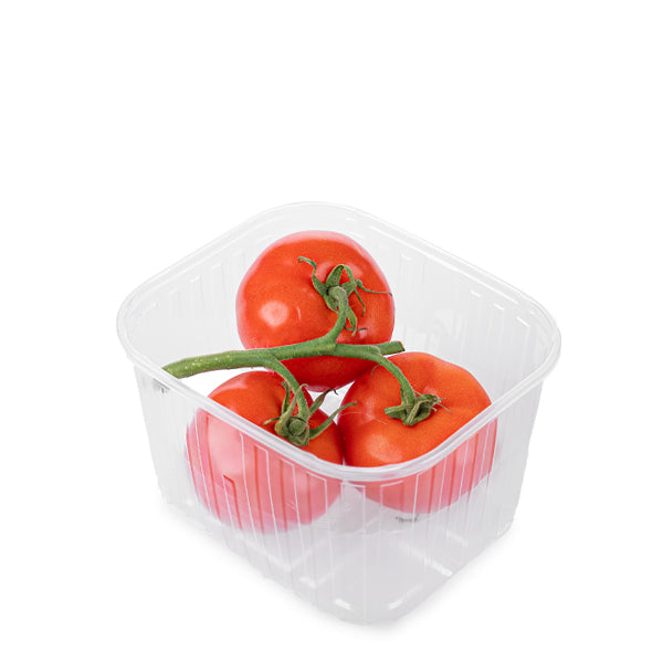 Fresh red tomatoes on the vine from Holland in a 0.5 kg vegetable pack, showcasing ripe, vibrant tomatoes.