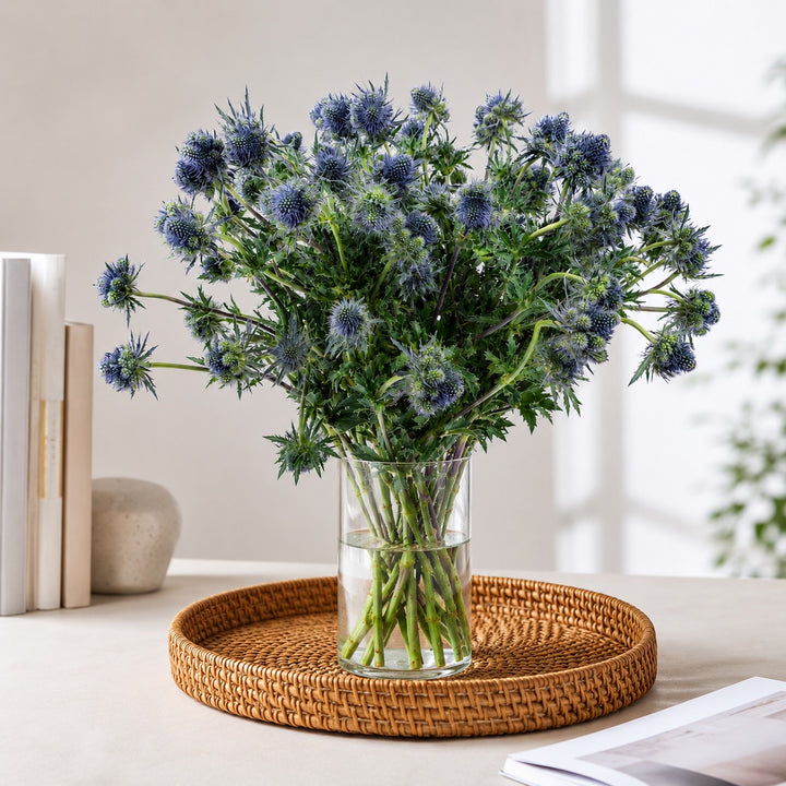 Eryngiums, Grand Lagoon fresh-cut flowers arranged in a clear vase at home, from Sharbatly.