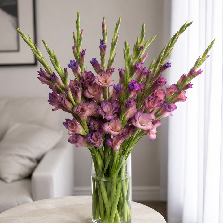 Close-up of Gladiolus, Indian Summer, XL blooms and natural details, from Sharbatly.
