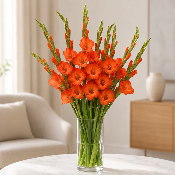 Gladiolus, Orange, XXL fresh-cut flowers arranged in a clear vase at home, from Sharbatly.
