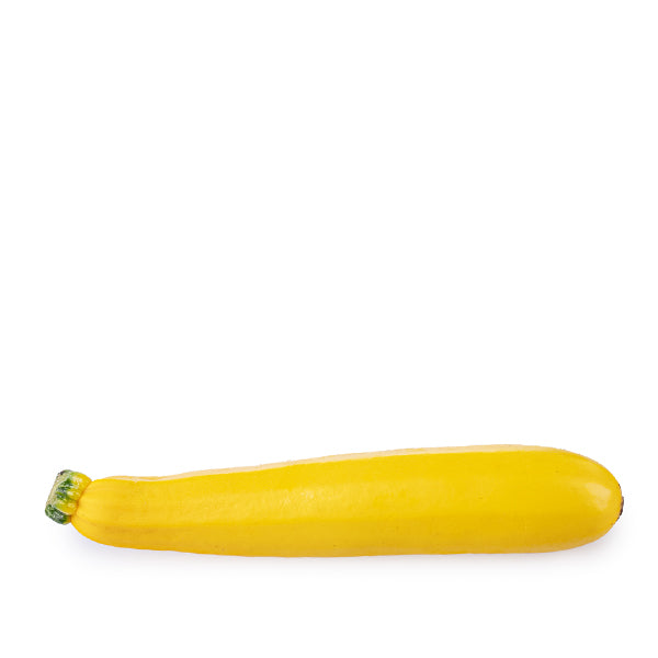 Extra-large gold bar zucchini from Holland, fresh vegetable with smooth green skin, single piece ready for cooking or display.