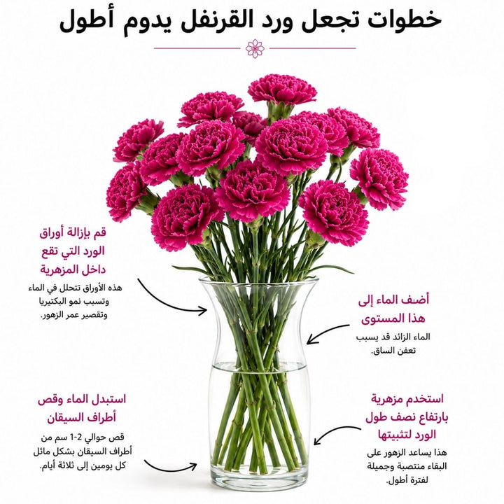 Arabic carnation care guide with water, trimming and vase instructions, from Sharbatly.