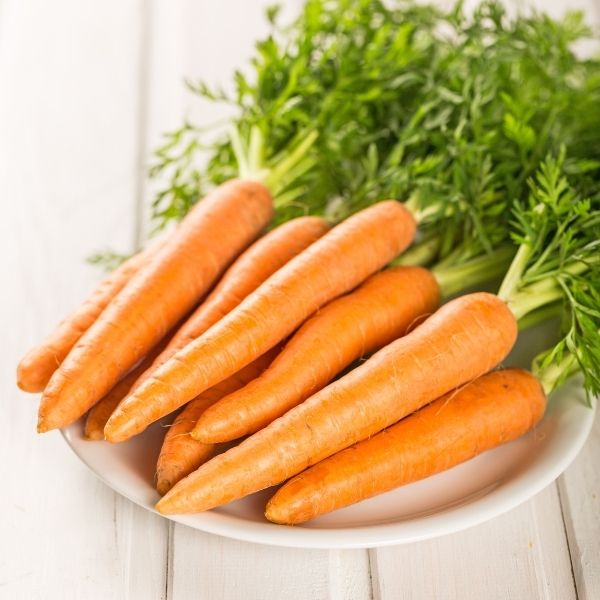 Extra large fresh carrots in a 10 kg carton by Sharbatly, showcasing their bright orange color and crisp texture.