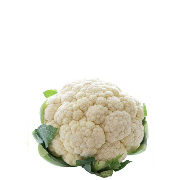 Fresh whole cauliflower vegetable from Local Market, single white cauliflower head on a white background