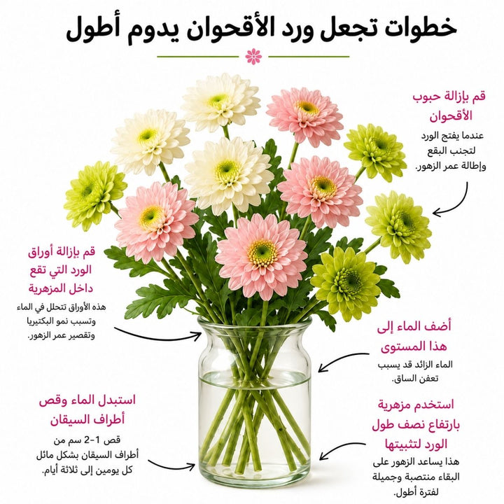 Bouquet of 10 Sun Up Santini Chrysanthemums from SQ Flora Kenya, showcasing vibrant yellow flowers on green stems.