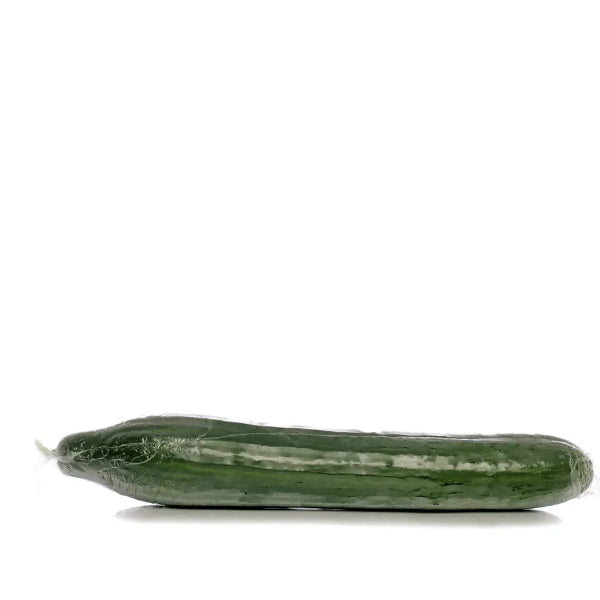 Extra large English cucumber from Holland, fresh vegetable with smooth green skin, single piece shown in the image