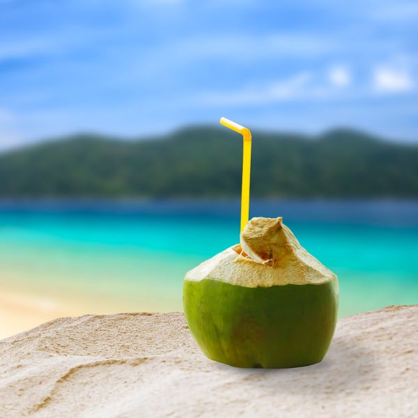 Fresh young Thai coconut fruit with a single piece, ideal for drinking, showcasing the natural coconut shell and white flesh.
