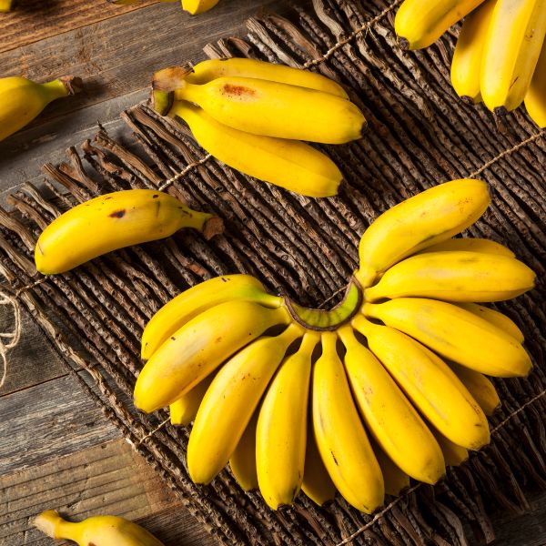 Baby-sized Sharbatly bananas in a 3 kg carton, fresh yellow fruit with smooth skin and small size, ready to eat.