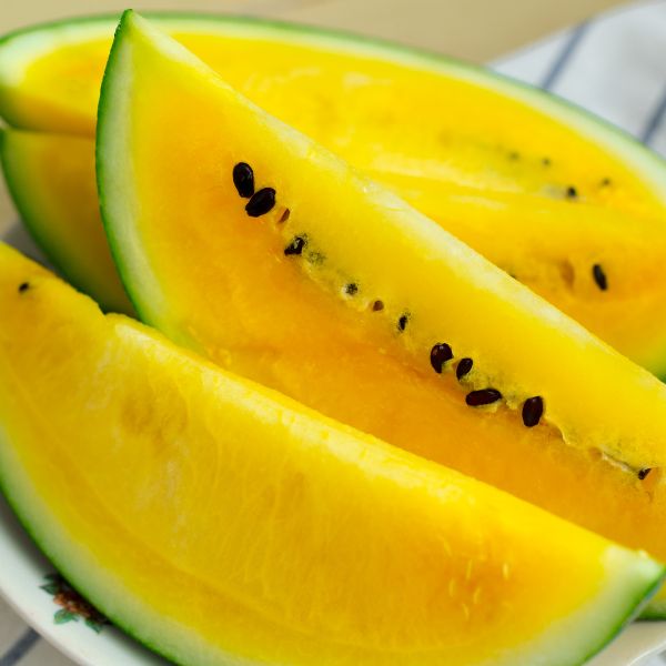 Yellow watermelon baby long fruit from Thailand, showing a single ripe, elongated yellow watermelon on a white background.