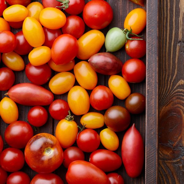 Fresh cherry grape tomatoes in a 0.25 kg hydroponic pack by Mishkat, vibrant red and ripe, ideal for salads and snacking.