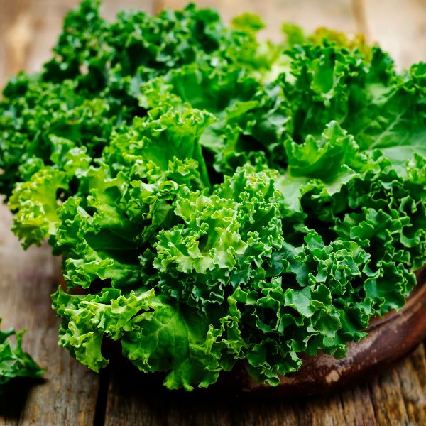Fresh Mishkat baby kale and lettuce mix in a 0.125 kg pack, hydroponically grown vegetable for salads and healthy meals.