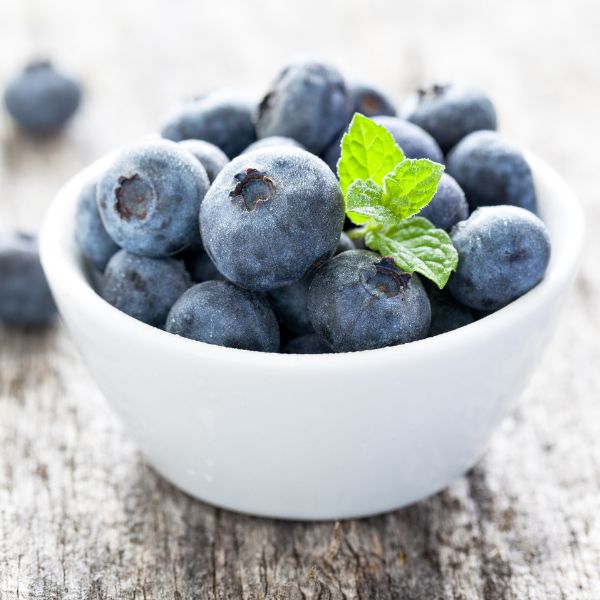 Fresh blueberries in a 12x0.125 kg carton, high-quality fruit from Sharbatly, ready for healthy snacking or baking.
