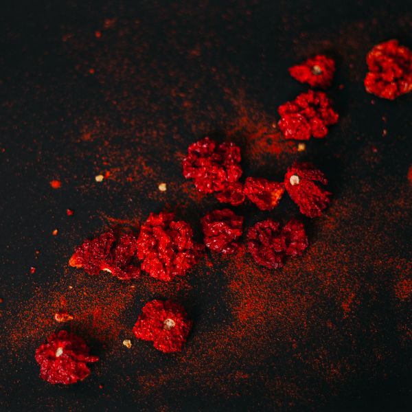 Holland Carolina Reaper hot pepper herb in a 0.150 kg pack, vibrant red peppers with a wrinkled surface, known for extreme heat.