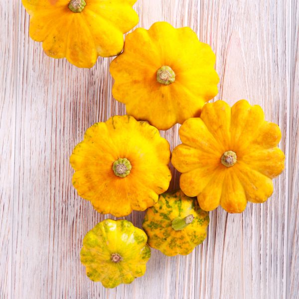 Yellow patty pan squash vegetable from Holland, fresh and ripe in a 0.2 kg pack. Bright yellow, round, scalloped vegetable.