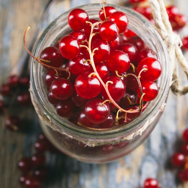 Fresh red currants from Holland in a 0.125 kg pack, showcasing vibrant, juicy berries on a natural background.
