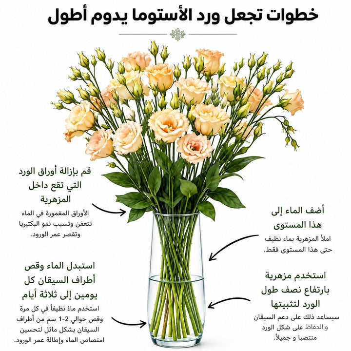 Arabic lisianthus care guide with water, trimming and vase instructions, from Sharbatly.