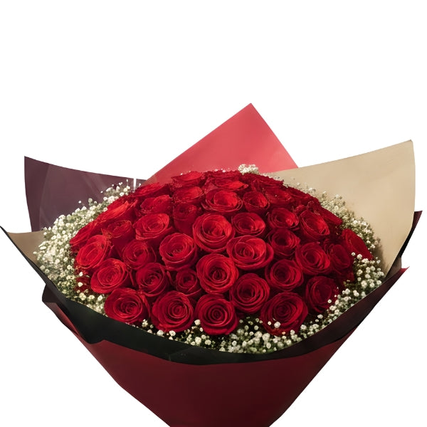 Bouquet of red roses with a white background