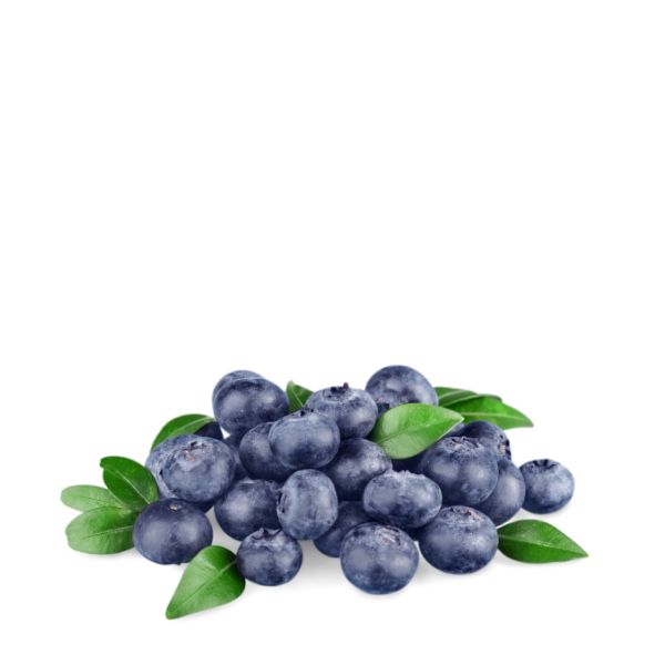 Fresh blueberries in a Sharbatly fruit pack, 0.17 kg, with vibrant blue berries on a clean white background.