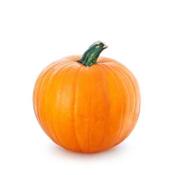 Medium Holland Trickster pumpkin for carving, single vegetable piece with vibrant orange skin and sturdy stem.