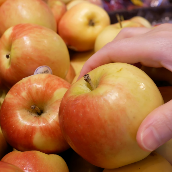 Golden rose-shaped apples from Sharbatly, 1 kg pack, showcasing shiny gold-colored fruit with a floral appearance.