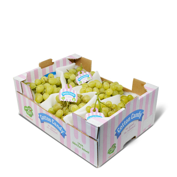 White seedless Cotton Candy grapes from Sharbatly in a 4.5 kg carton, showcasing fresh, plump grapes on the vine.