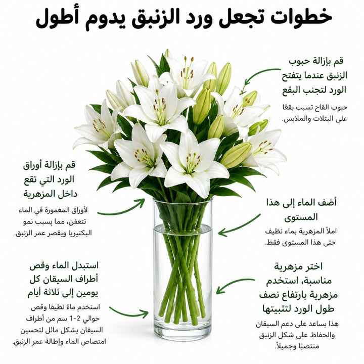 Arabic lily care guide with water, trimming and vase instructions, from Sharbatly.