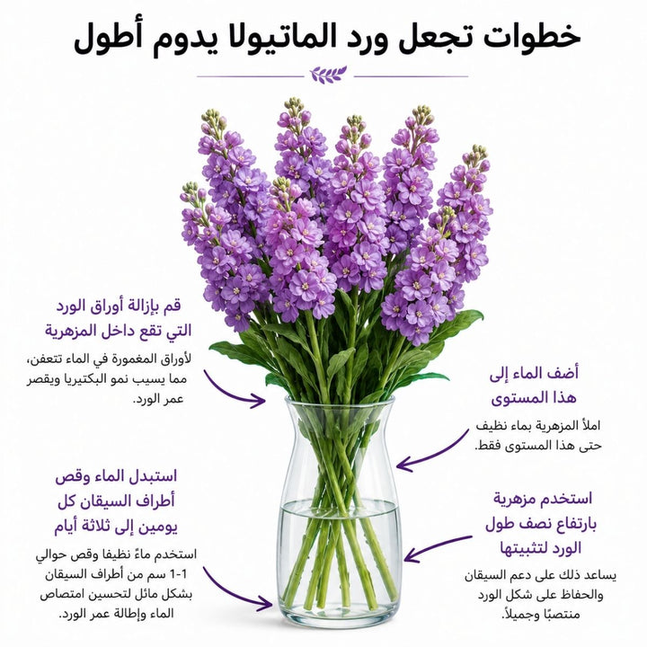 Deep blue Matthiola Centum flower stems with lush green leaves, arranged in a natural bouquet.