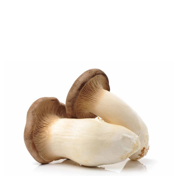 Fresh king oyster (eryngii) mushrooms from Holland, 1 kg box, showcasing large, firm, white mushroom caps and sturdy stems.