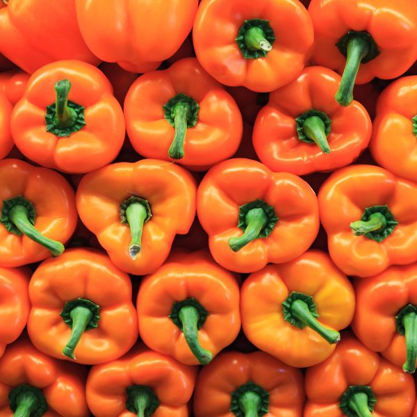 Fresh orange capsicum peppers from Local Market, 1 kg pack, showing vibrant, ripe vegetables with smooth, shiny skin.