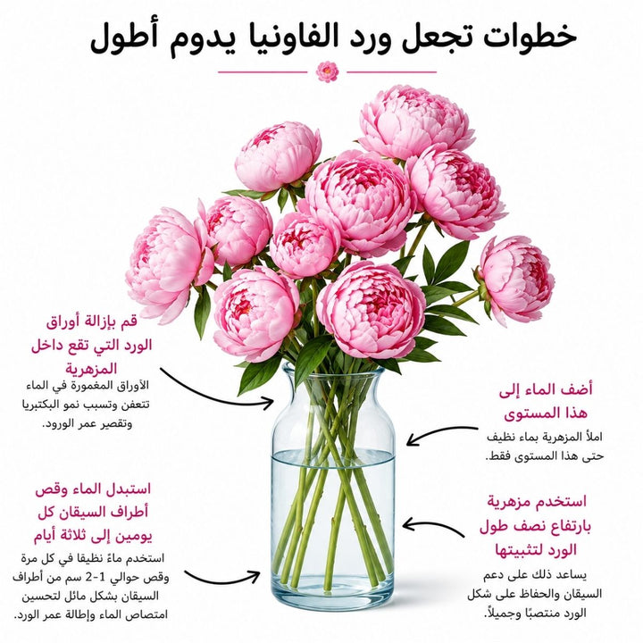 Arabic peony care guide with water, trimming and vase instructions, from Sharbatly.