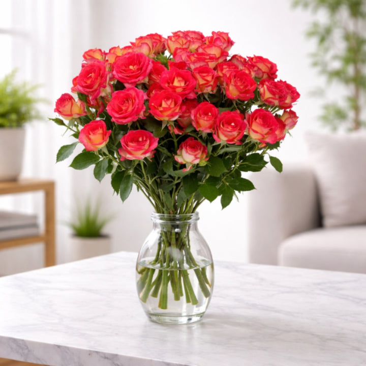 Fresh baby roses from Vegpro Kenya, summer dance variety with 10 stems, showcasing vibrant blooms and lush green foliage.