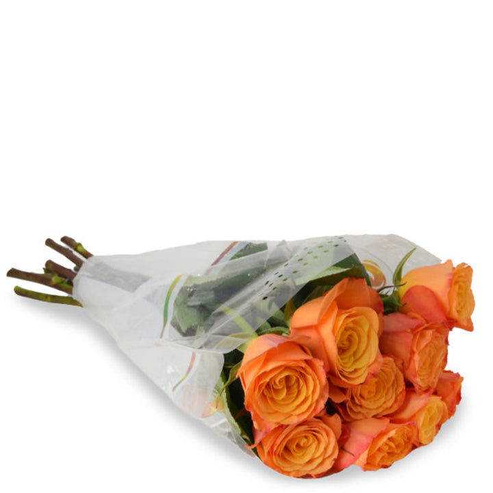 Bright orange roses from SQ Flora Kenya, 10 stems of fresh flower blossoms arranged naturally