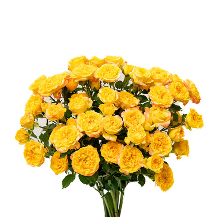 A bunch of 10 spray roses in vibrant orange and red shades, fresh garden flowers from Vegpro Kenya arranged in a bouquet.
