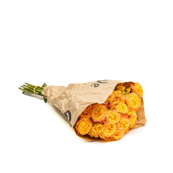 Spray roses in vibrant red from Vegpro Kenya, 10 stems of garden eternal flame flowers for floral arrangements.