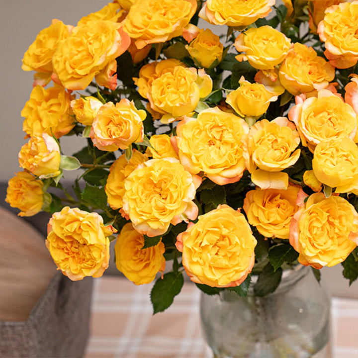 Spray roses from Vegpro Kenya in vibrant eternal flame color with 10 stems, perfect for garden arrangements.